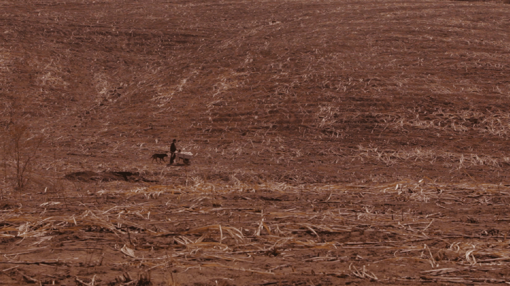 purpura-screen-shot-2